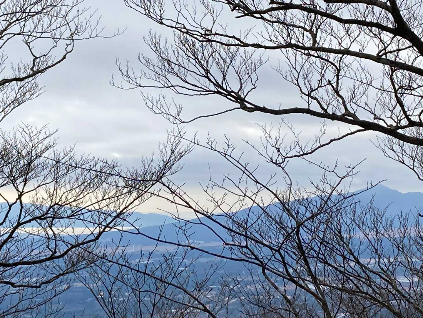 愛鷹山と駿河湾が見えました
富士山は角度的に見えないです