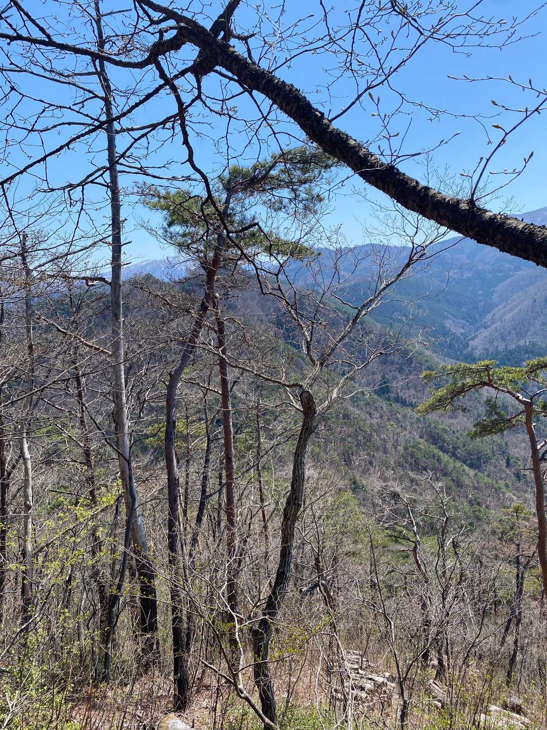 護摩山