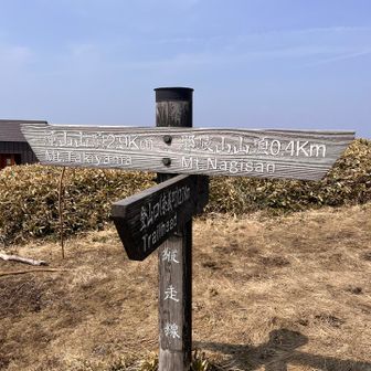 いったん滝山方面へ
無謀とも言えるいつかいつかのチャレンジのための下見🤗