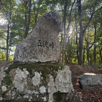 立派な石碑が立っています