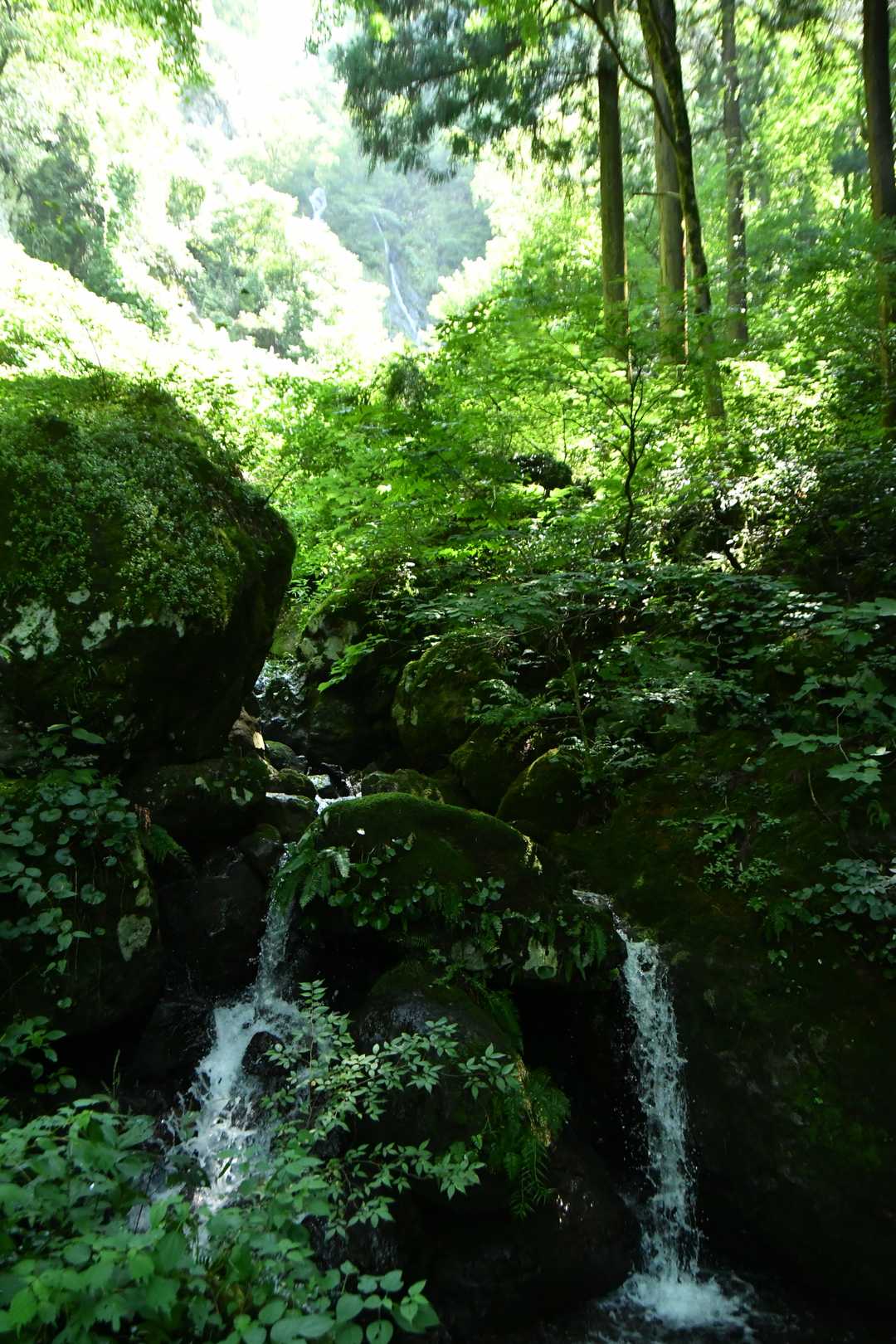 窓滝