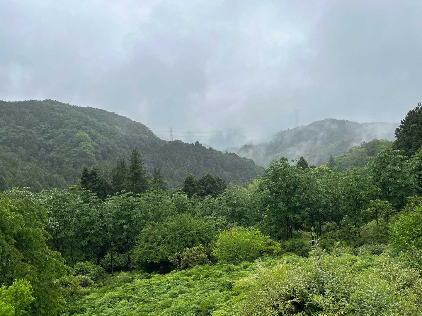 高麗駅バス停-高麗駅-水天の碑-日和田山登山口-金刀比羅神 縦走コースの写真