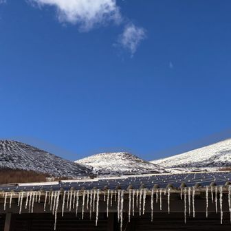 ツララちゃん🥶