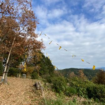 幸せの黄色いハンカチ