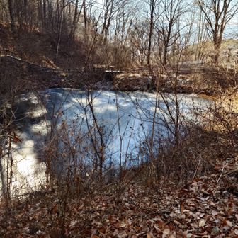 竜神池
2/3位が凍結してるように見えました