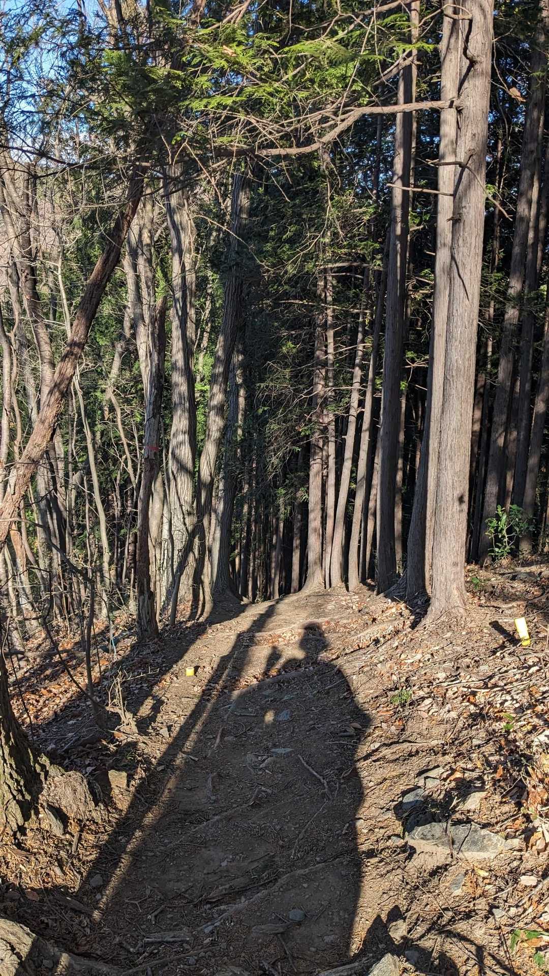 登山道イメージ