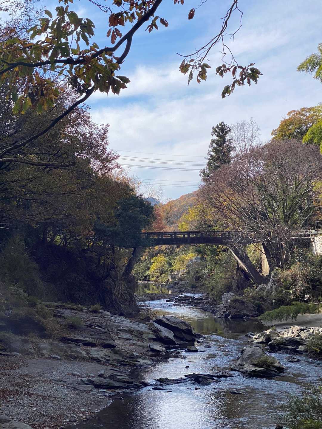 大平山 往復コースの写真