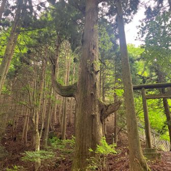 本当に座っていそう…
