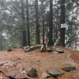 すると、山頂到着✌️