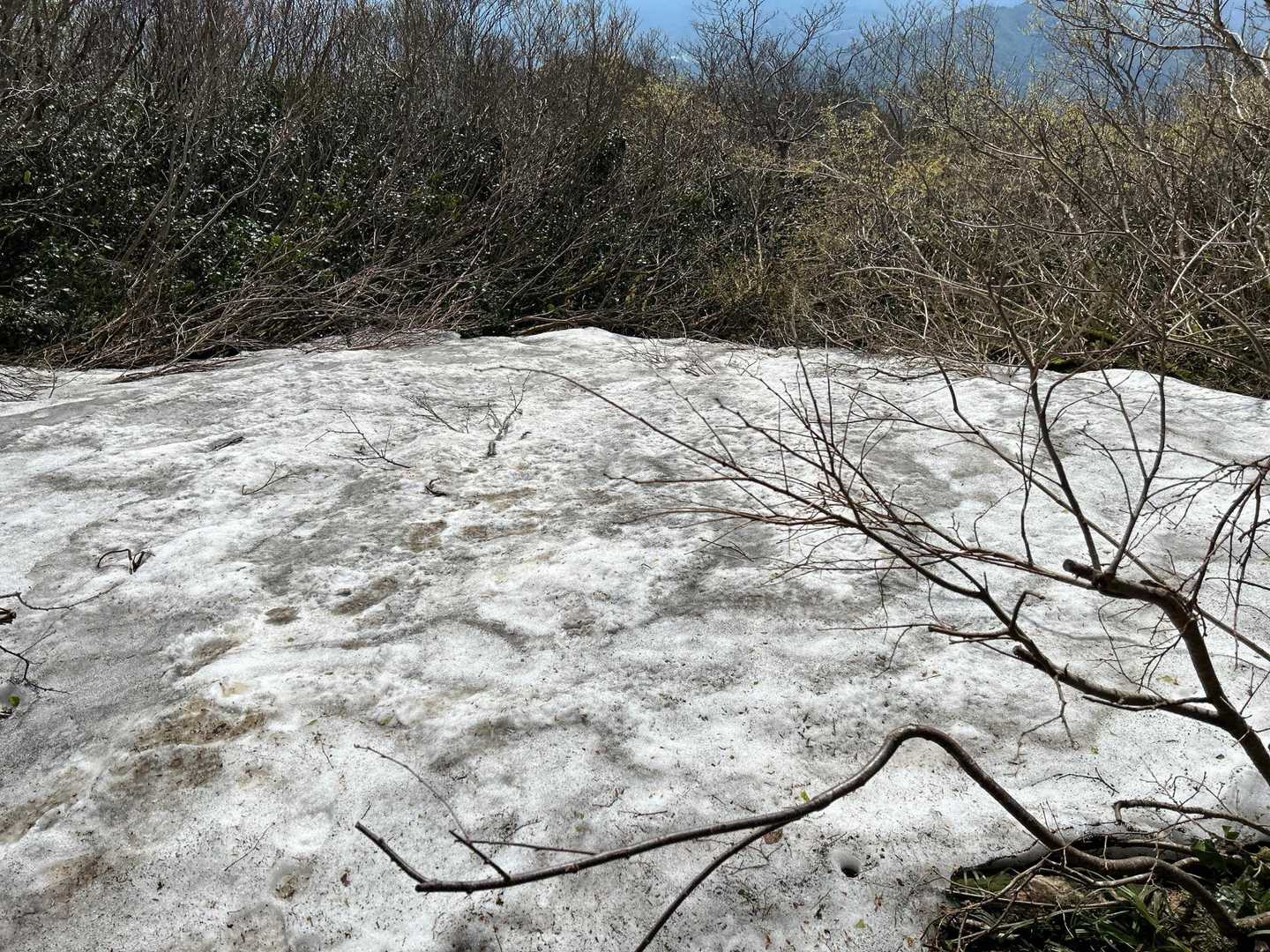 五頭山 周回コースの写真