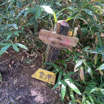 高天原峠から雲ノ平へ
このルートもキツかったです。
結局、岩苔乗越から雲ノ平まで約5時間・・・誰ともすれ違いませんでした。