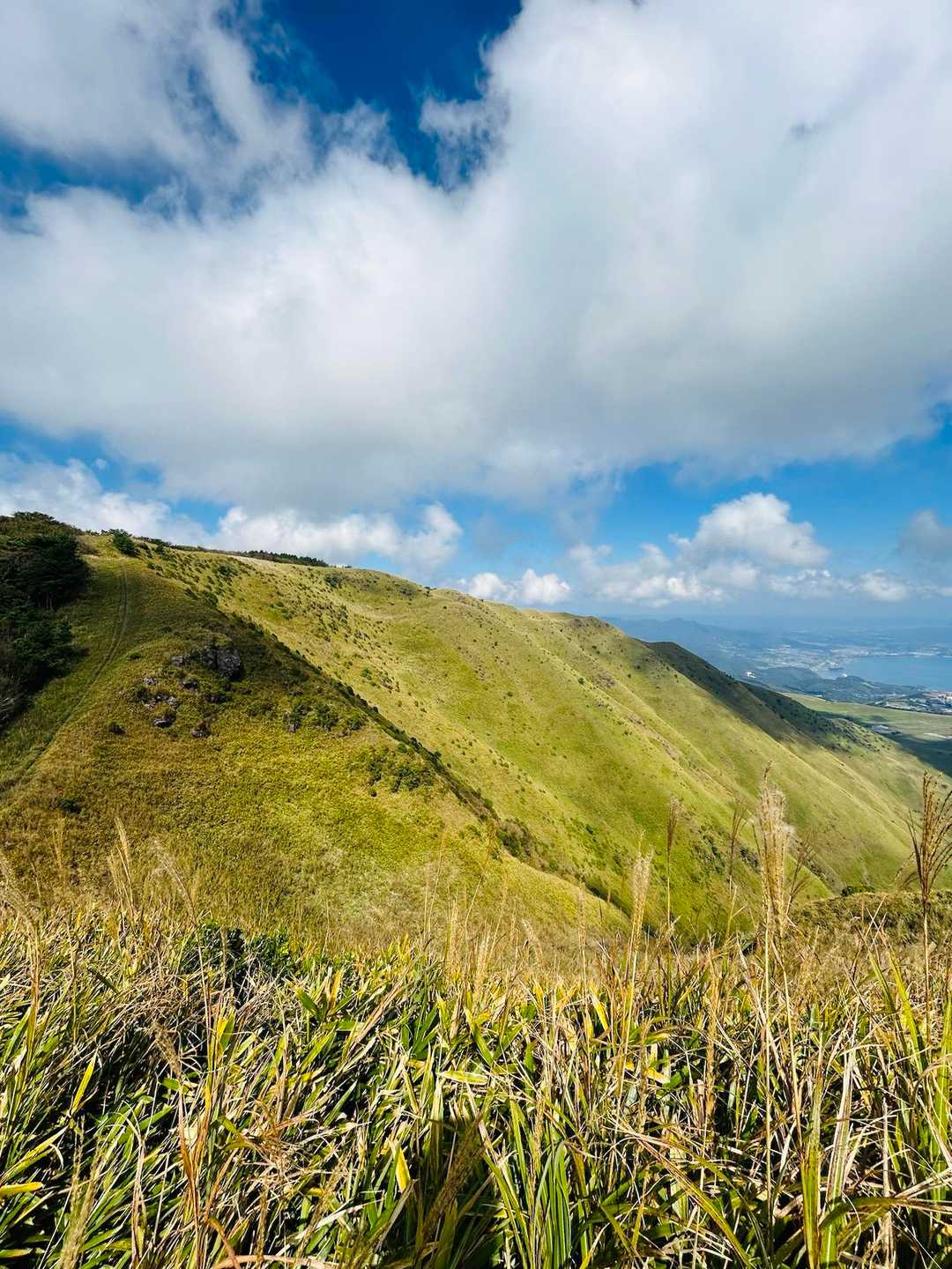 高平山山頂まであと少し