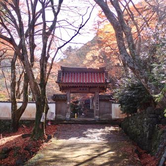 早速大威徳寺の山門が見えてきました
門前の紅葉も、だいぶ散ってきているもののまだまだ見事