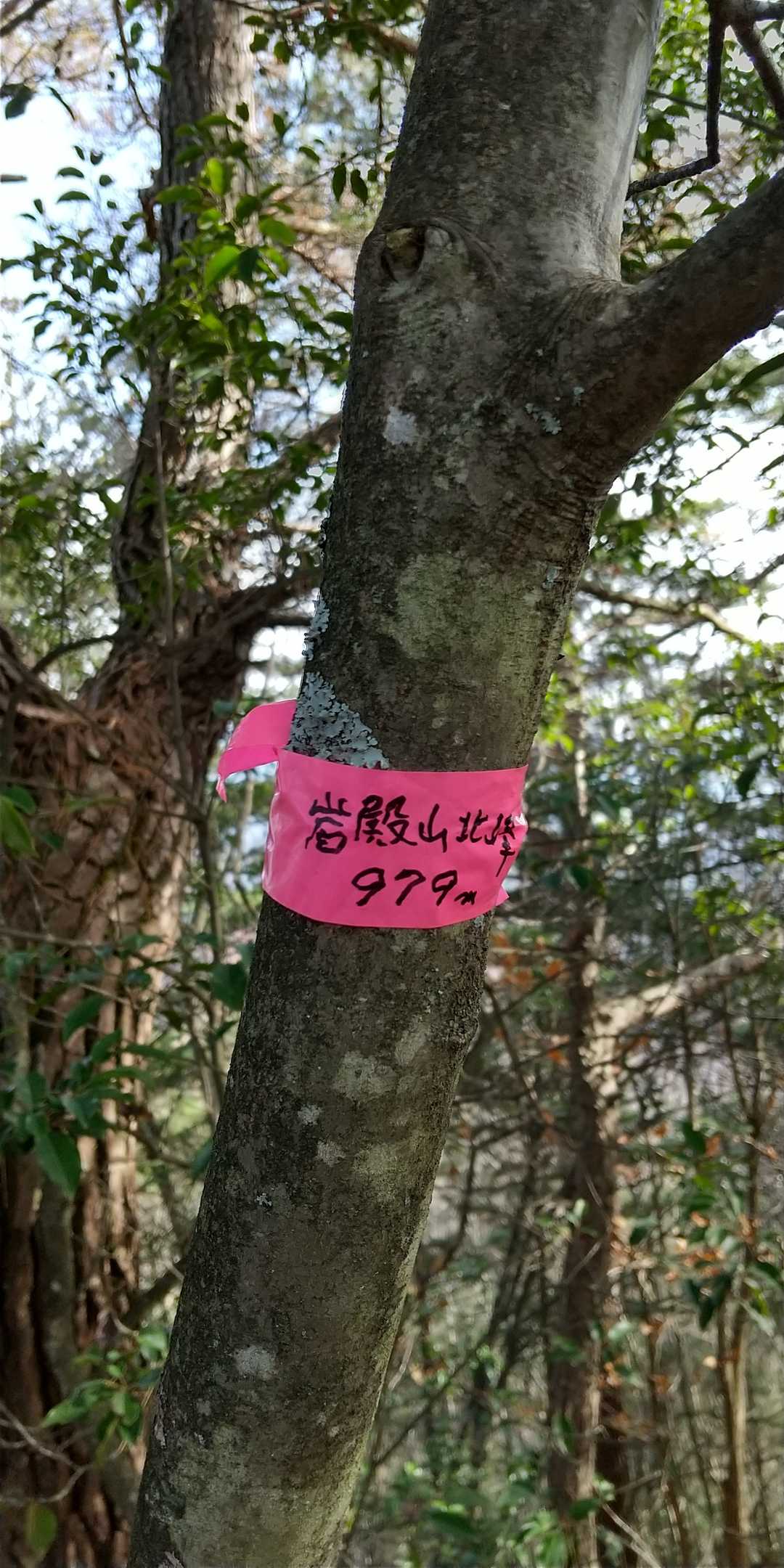 飯綱岳 (岩殿山北峰?)