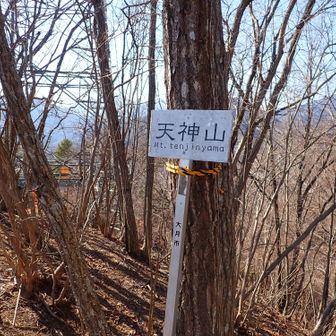 天神山ピーク