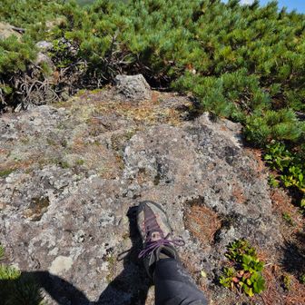 三ツ峰着⛰️

標識無いのでここ辺りとする😙
