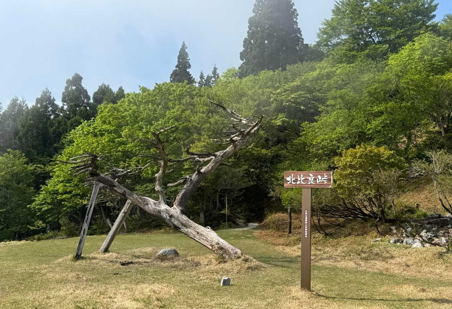 金糞峠-前山-北比良峠 周回コースの写真