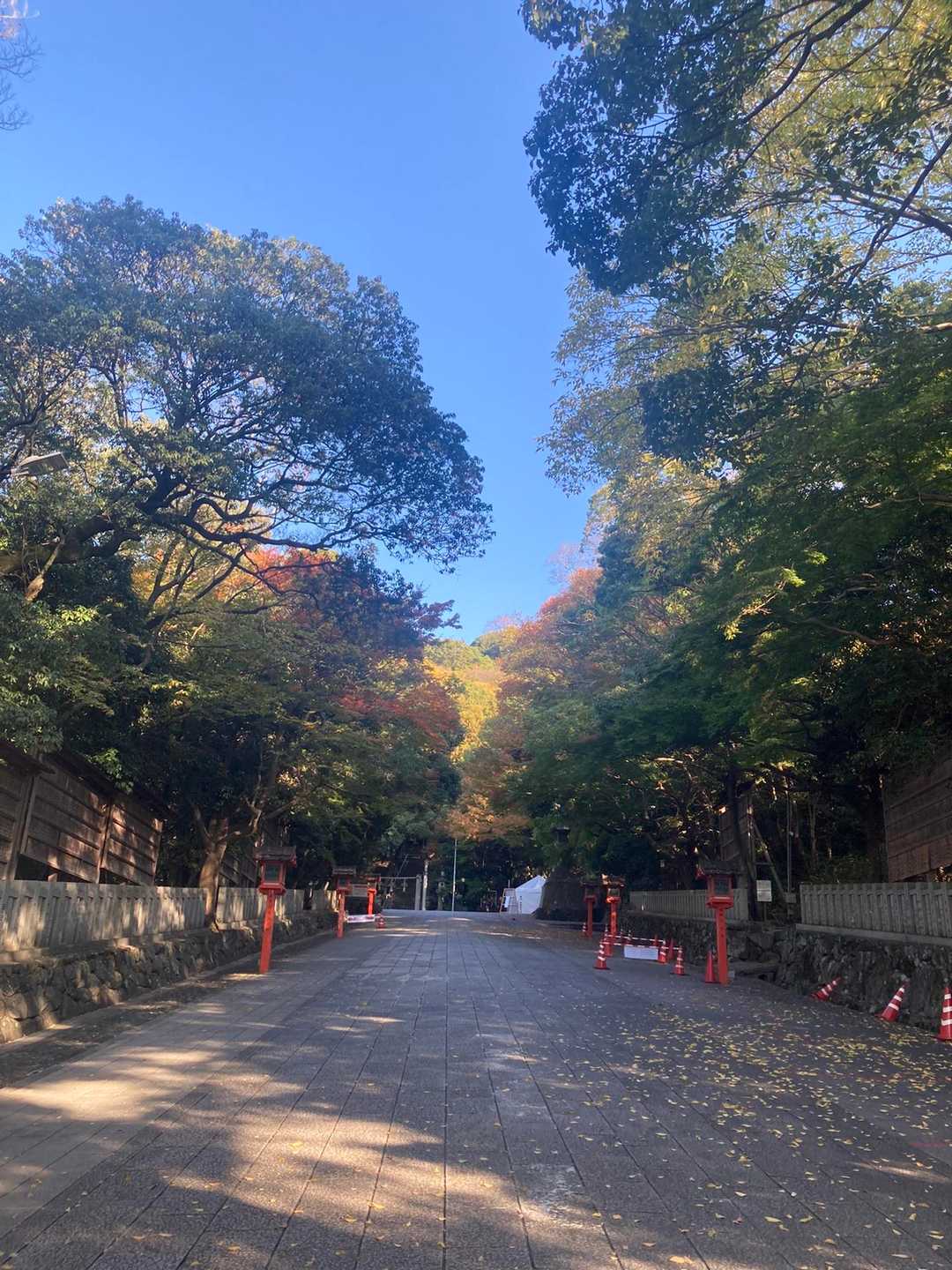 秋やね
前回は秋の入り口やった
1ヶ月経てば見える景色も違って見える😊同じとこ歩くとそーゆうの感じられるのがいい