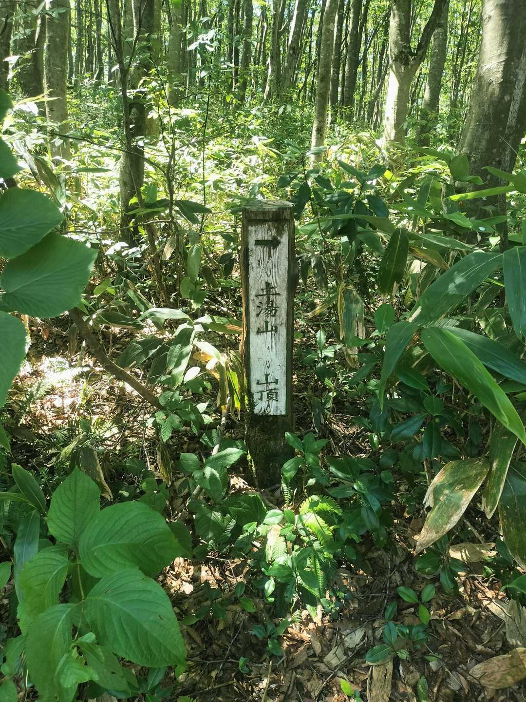 土湯山登山口-土湯山 往復コースの写真