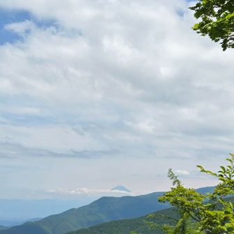 今日は、何度も富士山を確認できました