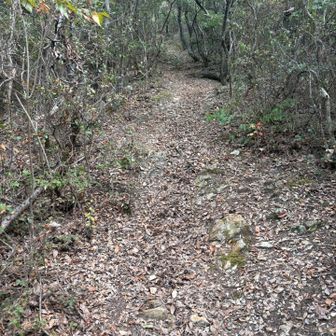 登ります