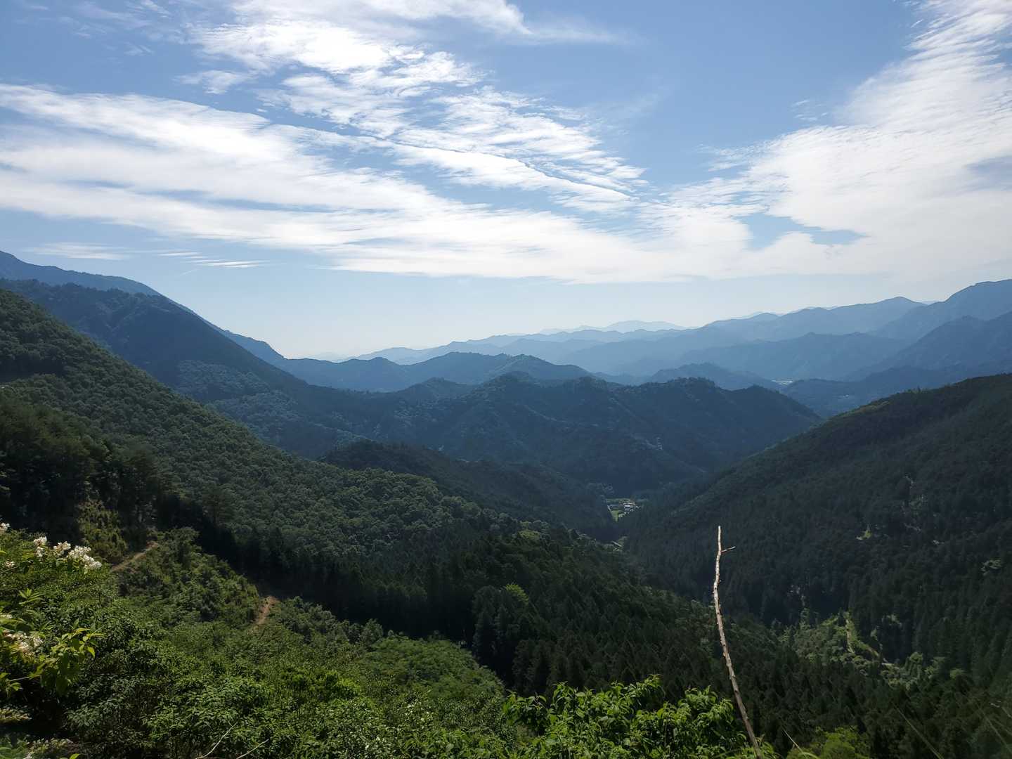 赤桶登山口-若宮峠-栗ノ木岳 往復コースの写真