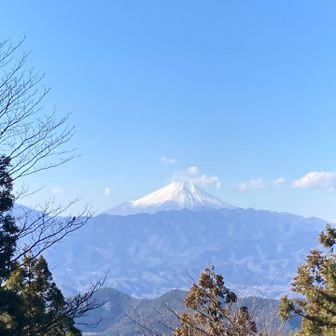 景信山からは富士山見えました！