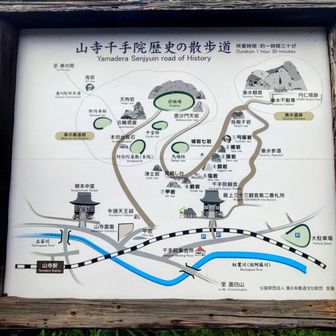見どころが多そうです