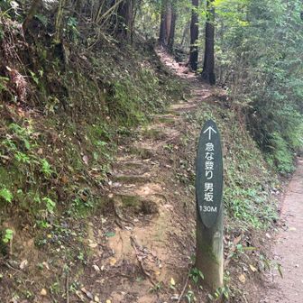 せっかくなので急な男坂を行きます
ランニングシューズだけど、まあいいか😅