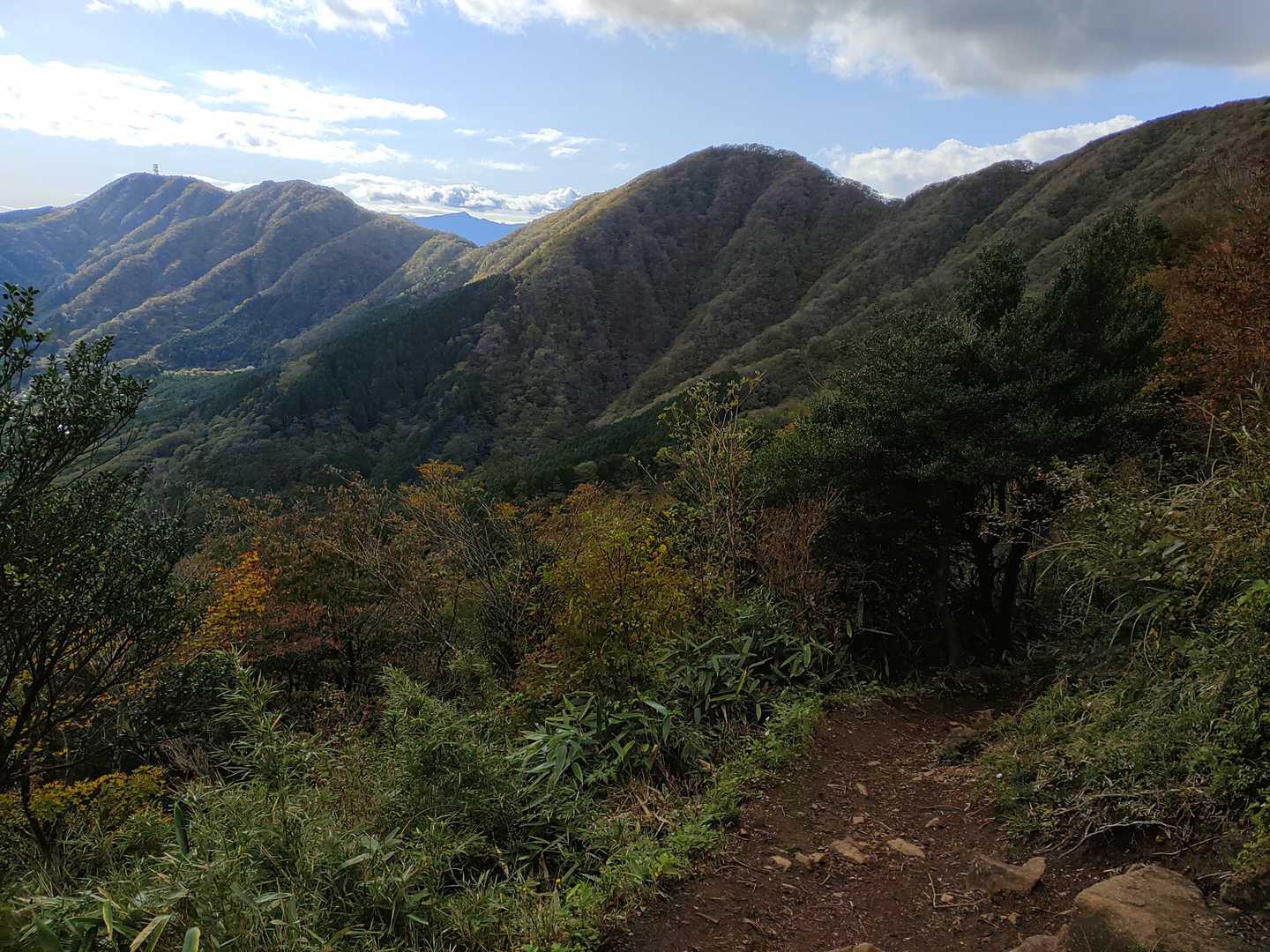 公時神社登山口-金時山-金時山登山口-金時登山口バス停 縦走コースの写真