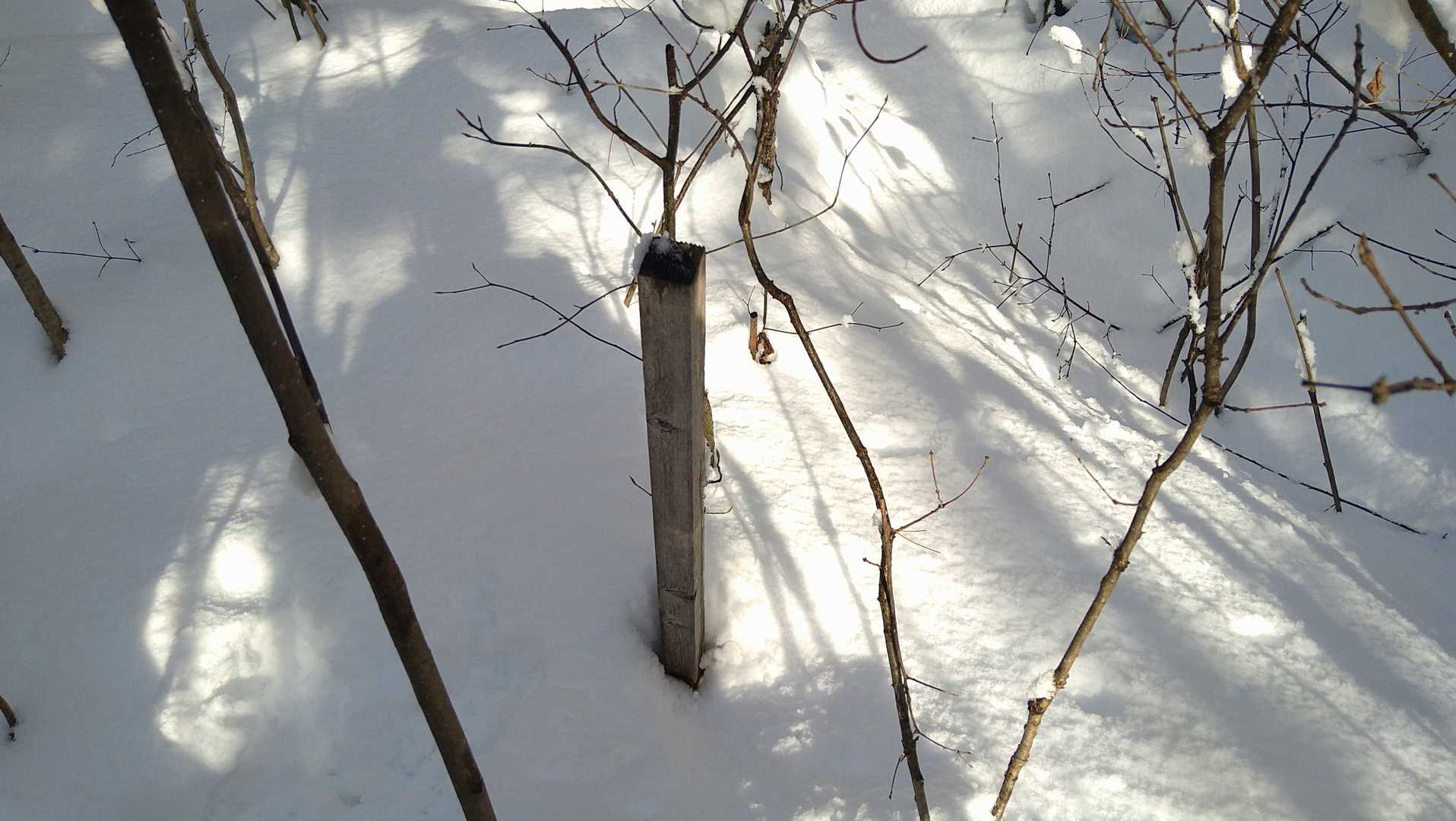 ここが頂上かも！
頂上という事にしよう😅