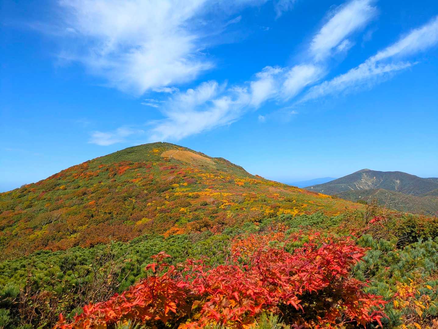 これから登る根菅岳