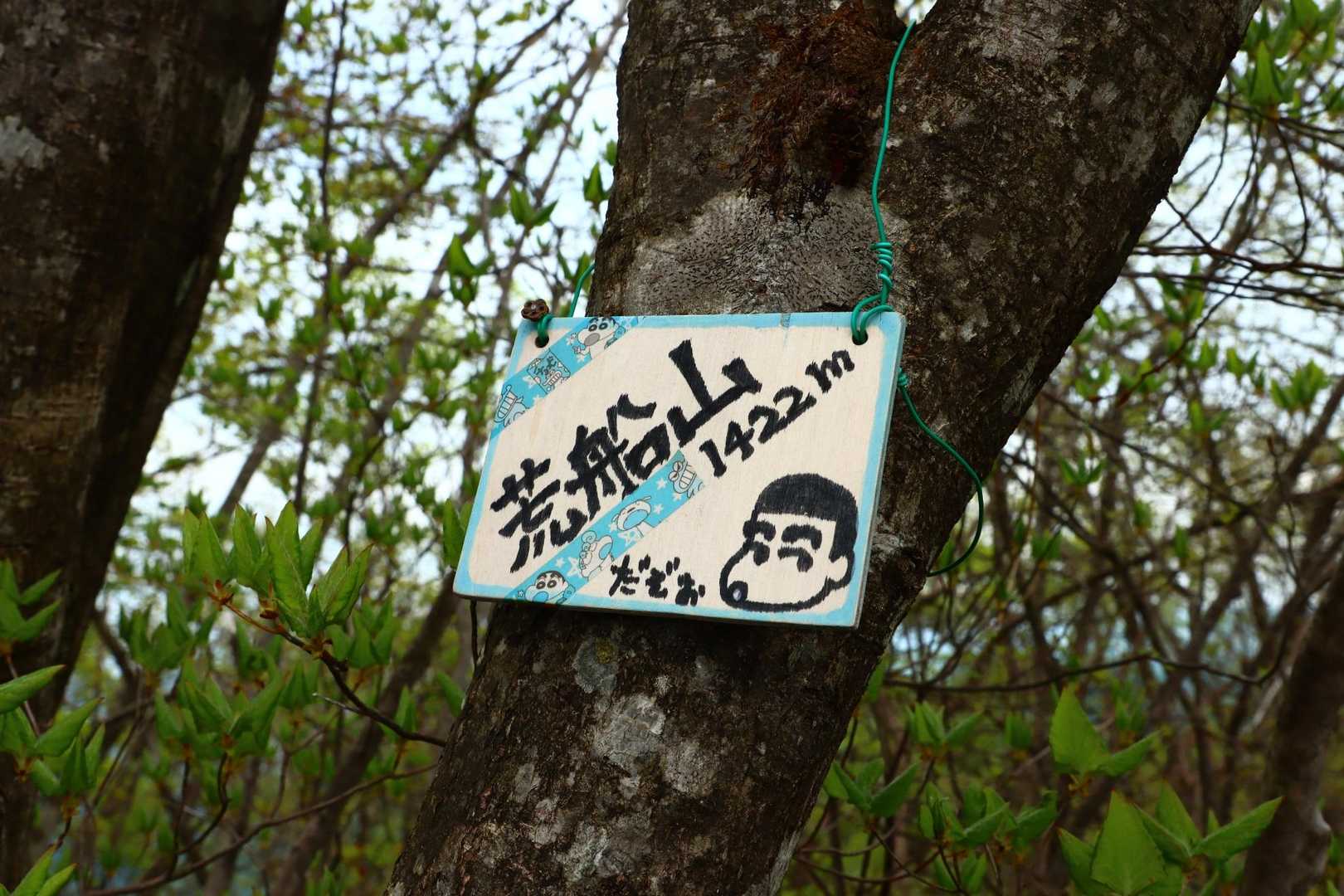 山頂〜ヽ(´▽｀)/