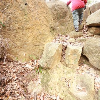 さらに立派な石垣跡
