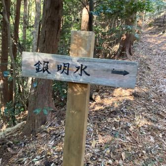 これ前から気になってるんだけどなんやろか
(´・ω・｀)？