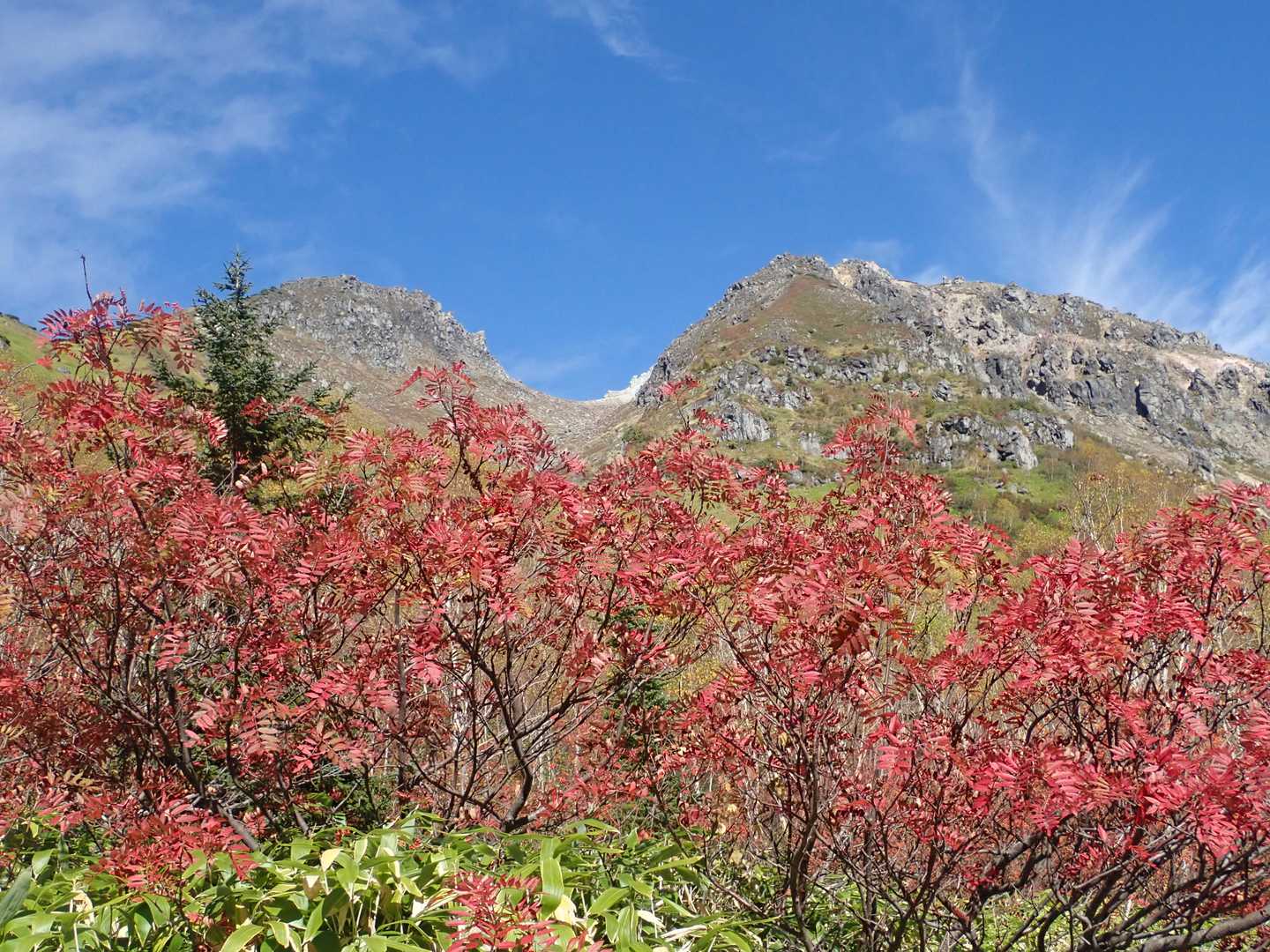 広場からは高い木は少なくなり、焼岳（北峰は隠れていますが）と紅葉が楽しめました。
白峰三山では茶色くなっていたナナカマドも赤く色づいていました。
下山中にあった年配の方は、紅葉を見にこの広場まで行って引き返すと言ってましたが、なるほどそれもありだなと思います。