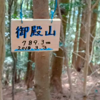 ヤレヤレ、ここまで結構な長い登りでした😀