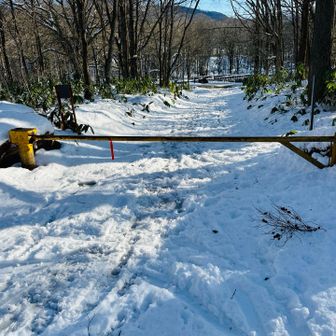 帰ってきた〜👍