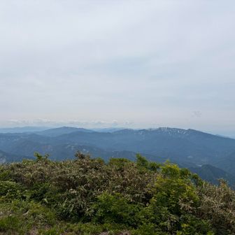 浅草と守門。そろそろ行こうか