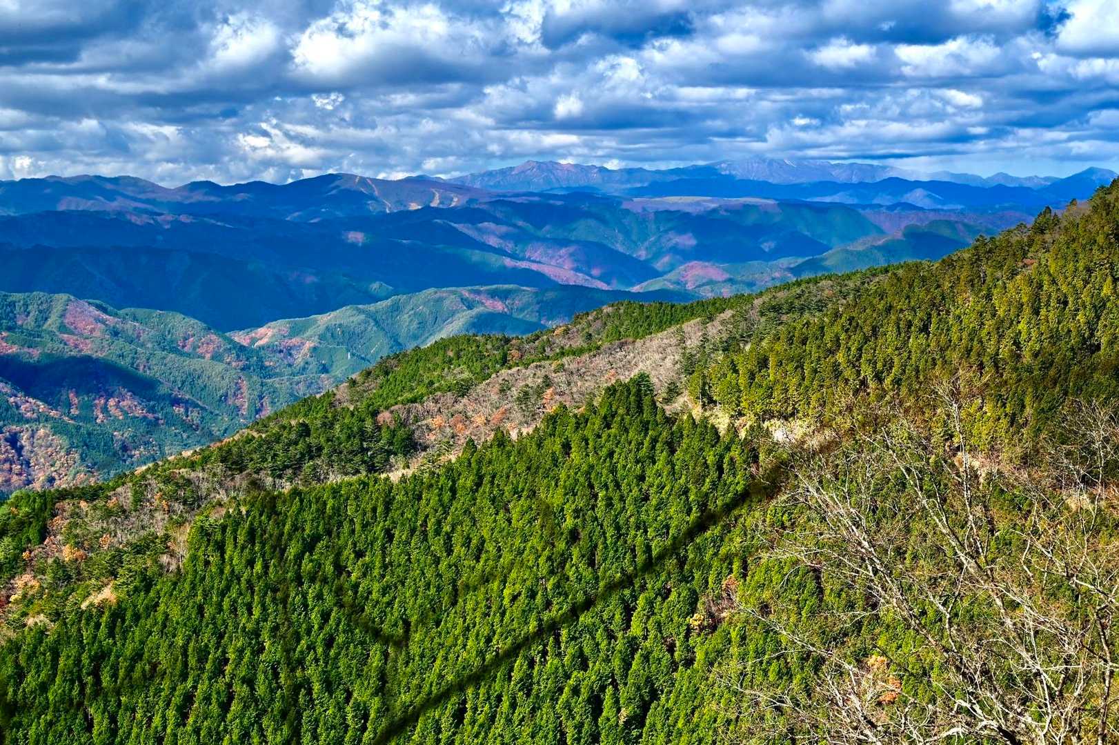 下山するとようやく顔を出す白山