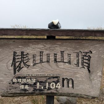 俵山。三等三角点は少し下ったススキの中です。