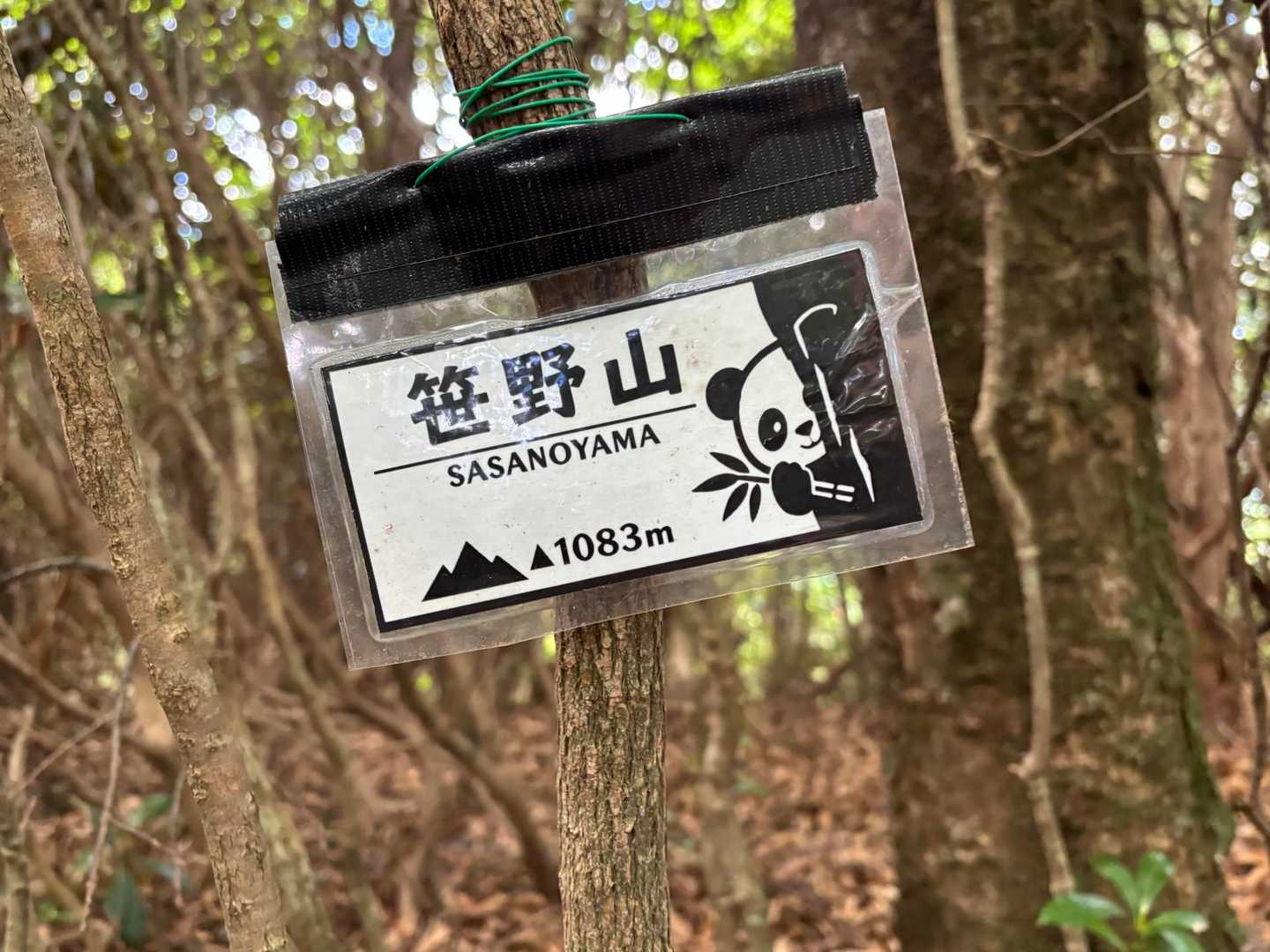 かわいい、パンダ🐼
ほんとにいたら怖いけど😱