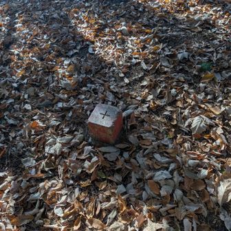 ここで一休み、最後に備えるぞ!!