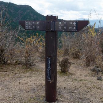 サンショウバラの丘