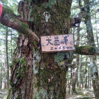 やっと急登は終わり