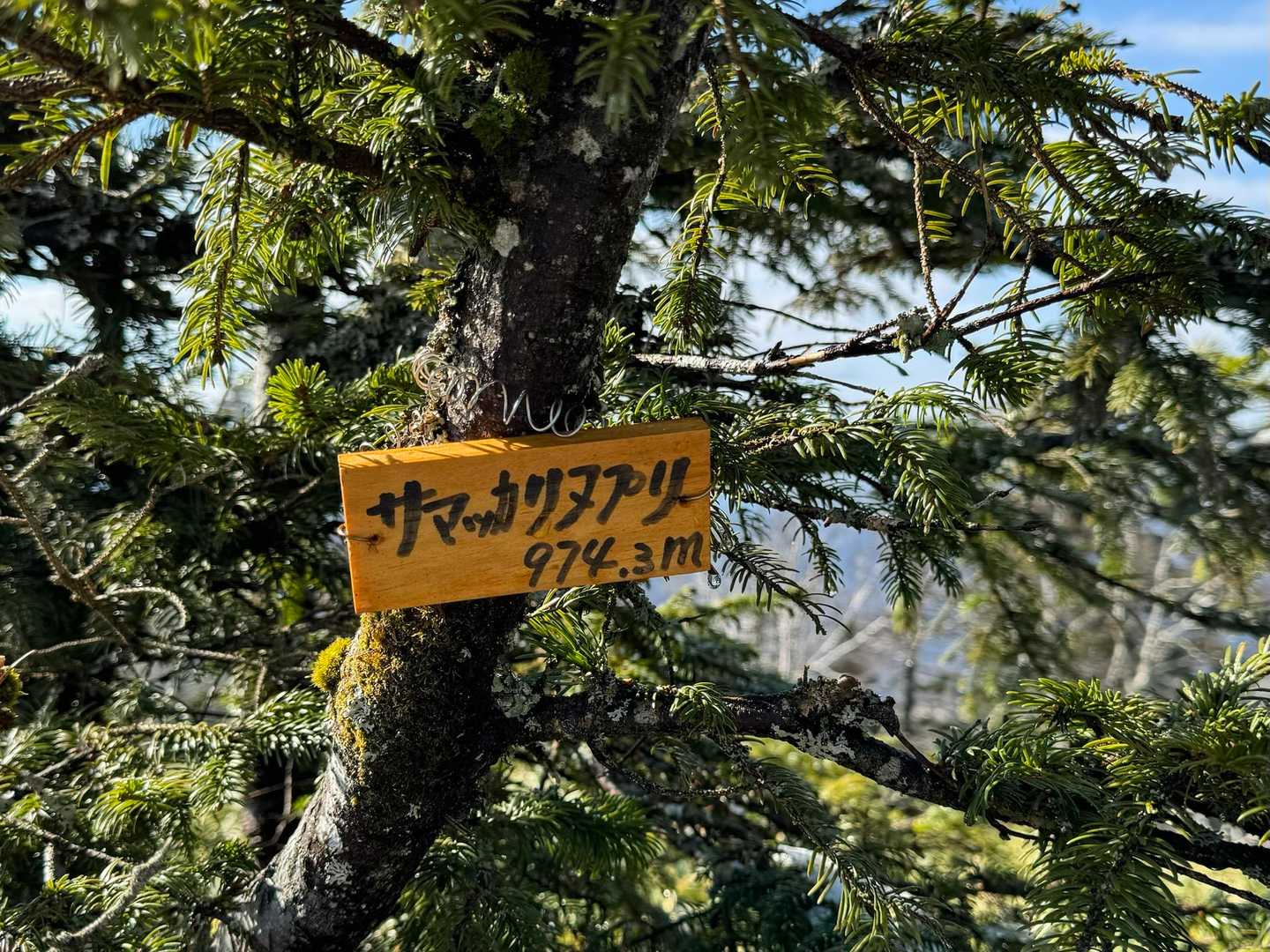 とーちゃーく