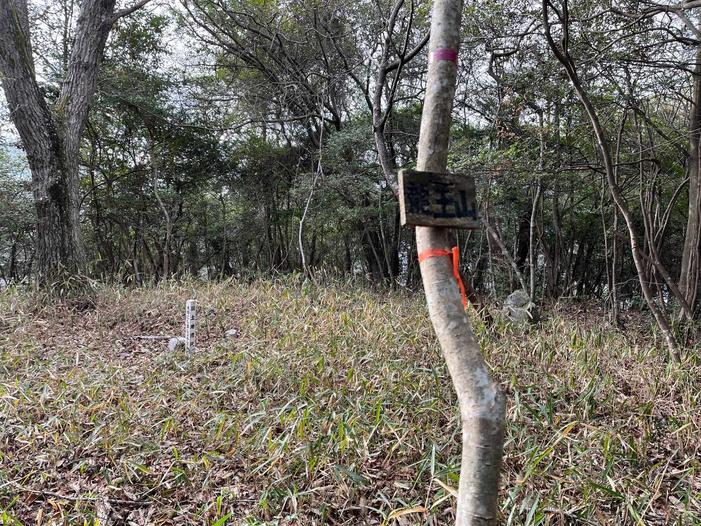 本日二つめの龍王山🚩
午前に登った方は"竜王山"でしたけど😄