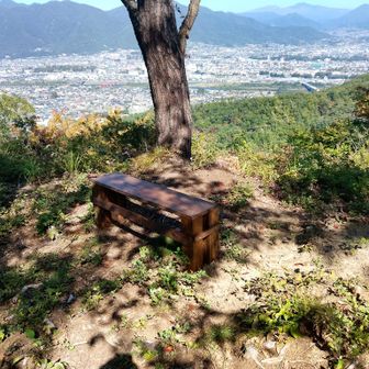 設置されていたベンチ