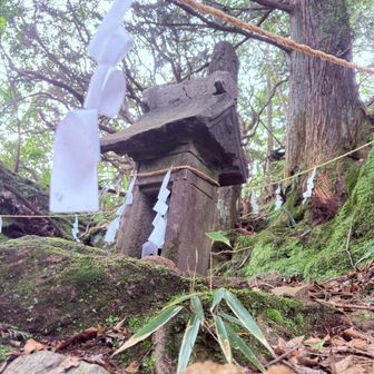 今月もパワー頂きました🙏⛩️‼️