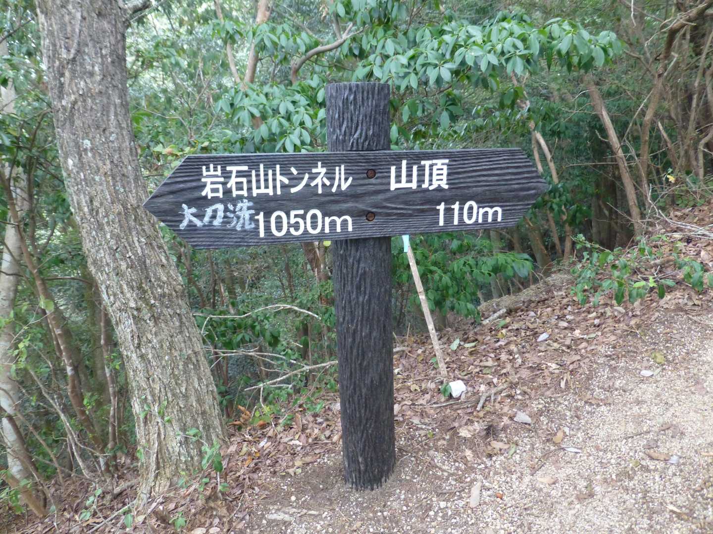 岩石山 周回コースの写真